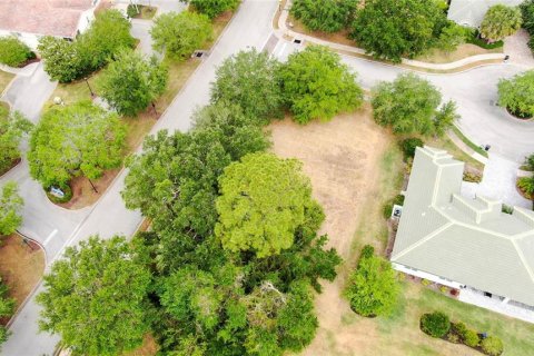 Land in Palm Coast, Florida № 1690470 - photo 5