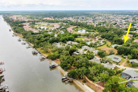 Land in Palm Coast, Florida № 1690470 - photo 18