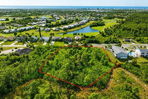 Land in Rotonda, Florida № 2121542 - photo 2