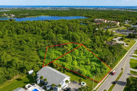 Land in Rotonda, Florida № 2121542 - photo 4