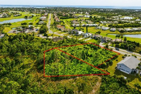 Land in Rotonda, Florida № 2121542 - photo 3