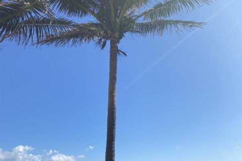 Copropriété à louer à Pompano Beach, Floride: 2 chambres, 77.57 m2 № 2352768 - photo 10