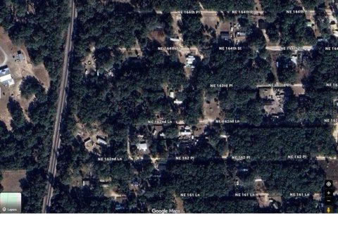 Land in Citra, Florida № 2163526 - photo 2