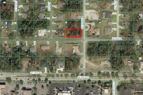 Terreno en venta en Summerfield, Florida № 1831640 - foto 2