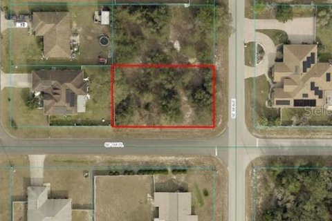 Terreno en venta en Summerfield, Florida № 1831640 - foto 3