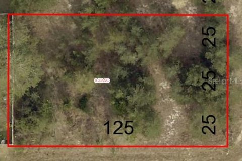 Terreno en venta en Summerfield, Florida № 1831640 - foto 4