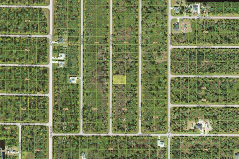 Land in Port Charlotte, Florida № 2159227 - photo 3