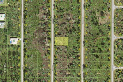 Land in Port Charlotte, Florida № 2159227 - photo 2
