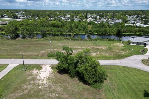 Terreno en venta en Cape Coral, Florida № 1341166 - foto 7
