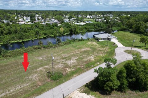 Terreno en venta en Cape Coral, Florida № 1341166 - foto 6