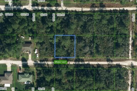 Land in Sebring, Florida № 2162914 - photo 3