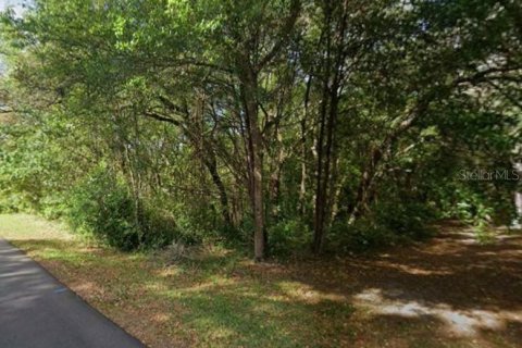 Land in Citrus Springs, Florida № 2349842