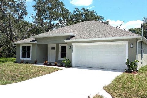House in Mulberry, Florida 3 bedrooms, 130.16 sq.m. № 1828068 - photo 1