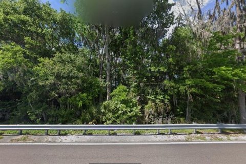 Land in Reddick, Florida № 2205927 - photo 4