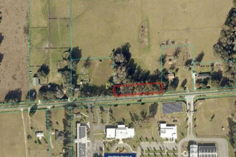 Land in Reddick, Florida № 2205927
