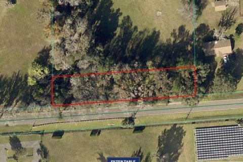 Land in Reddick, Florida № 2205927 - photo 2