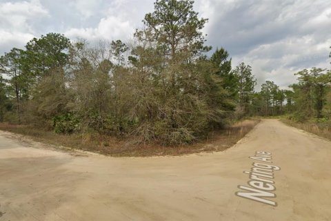 Land in Interlachen, Florida № 2165097