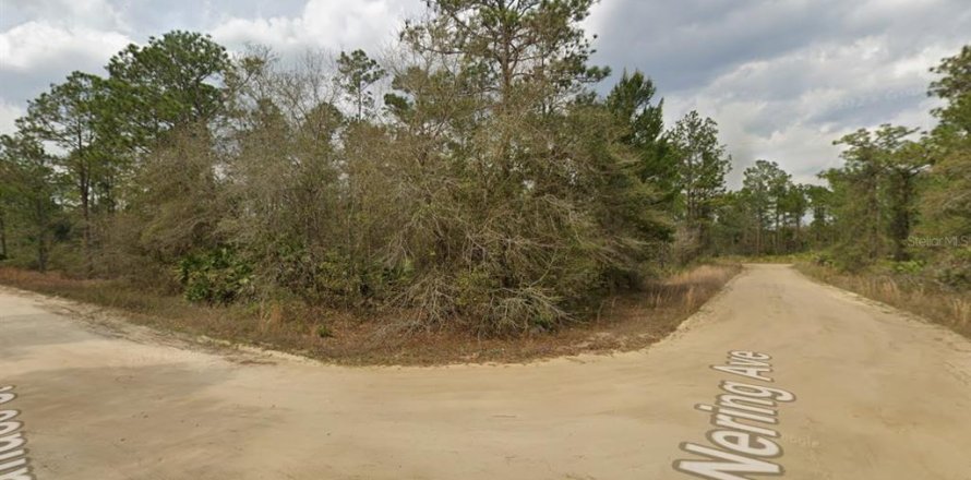 Land in Interlachen, Florida № 2165097