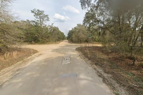 Land in Interlachen, Florida № 2165097 - photo 2