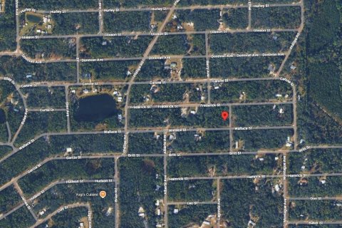Land in Interlachen, Florida № 2165097 - photo 4