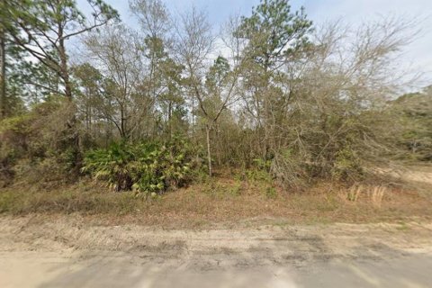 Land in Interlachen, Florida № 2165097 - photo 3