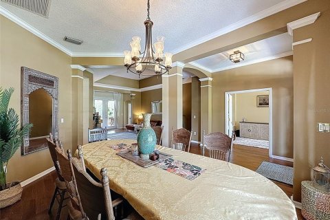 House in Land O' Lakes, Florida 4 bedrooms, 384.8 sq.m. № 1787352 - photo 11