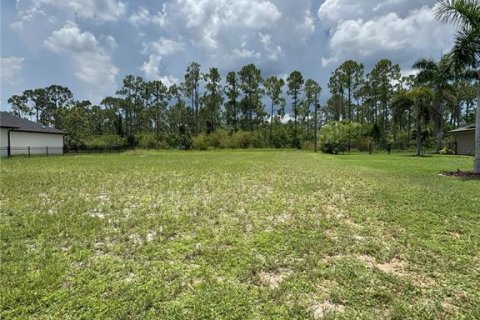 Land in Punta Gorda, Florida № 1840594 - photo 4