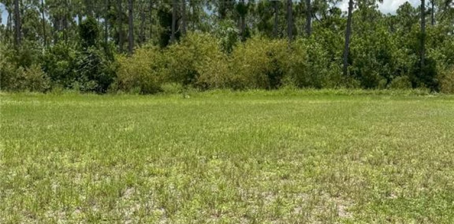 Land in Punta Gorda, Florida № 1840594