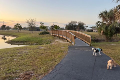 Land in Punta Gorda, Florida № 1840594 - photo 14
