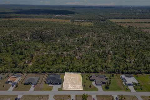 Land in Punta Gorda, Florida № 1840594 - photo 10