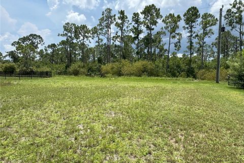 Land in Punta Gorda, Florida № 1840594 - photo 3