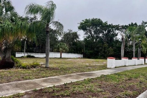 Terreno en venta en Bradenton, Florida № 957441 - foto 1