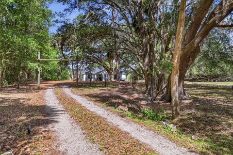 Villa ou maison à vendre à Micanopy, Floride: 3 chambres, 186.45 m2 № 2093189 - photo 5