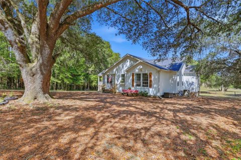 Villa ou maison à vendre à Micanopy, Floride: 3 chambres, 186.45 m2 № 2093189 - photo 6
