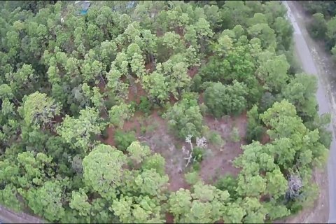 Terreno en venta en Citrus Springs, Florida № 1247244 - foto 3