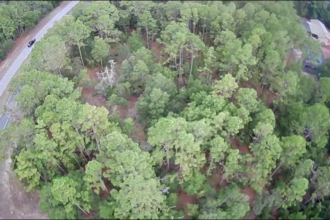 Terreno en venta en Citrus Springs, Florida № 1247244 - foto 4