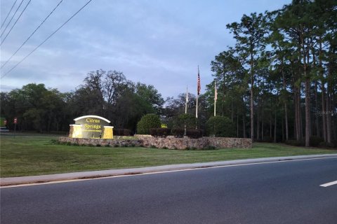 Terreno en venta en Citrus Springs, Florida № 1247244 - foto 10