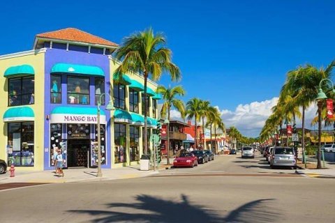 Land in Fort Myers, Florida № 1188772 - photo 1