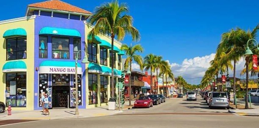 Land in Fort Myers, Florida № 1188772