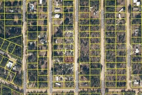 Land in Interlachen, Florida № 2162685 - photo 2