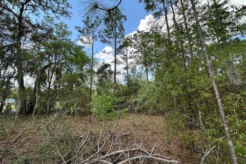 Terrain à vendre à Morriston, Floride № 2205161 - photo 4