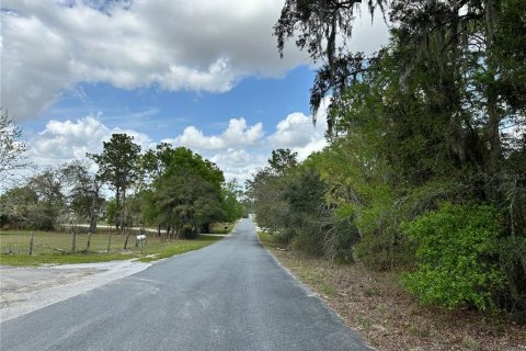 Terrain à Morriston, Floride № 2205161