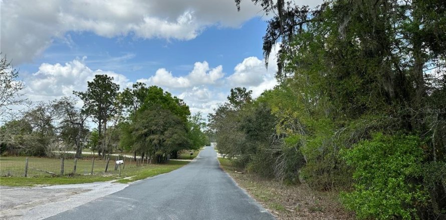 Terrain à Morriston, Floride № 2205161