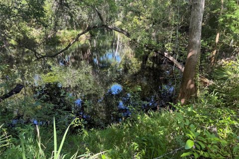 Land in New Port Richey, Florida № 2164598 - photo 8