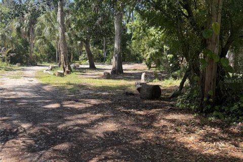 Land in New Port Richey, Florida № 2164598 - photo 11