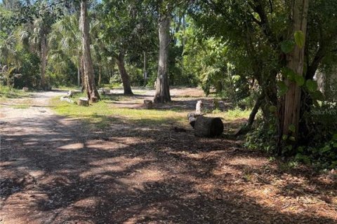 Land in New Port Richey, Florida № 2164598 - photo 5
