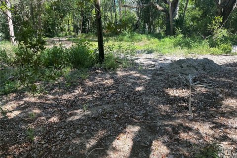 Land in New Port Richey, Florida № 2164598 - photo 3