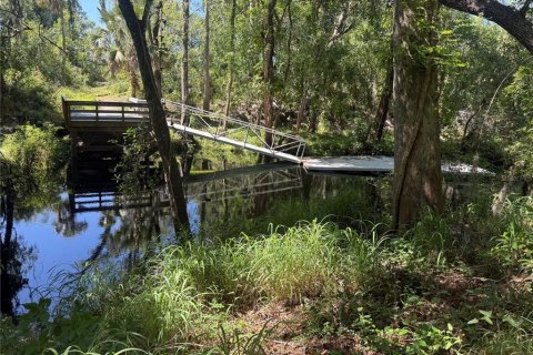 Land in New Port Richey, Florida № 2164598 - photo 7