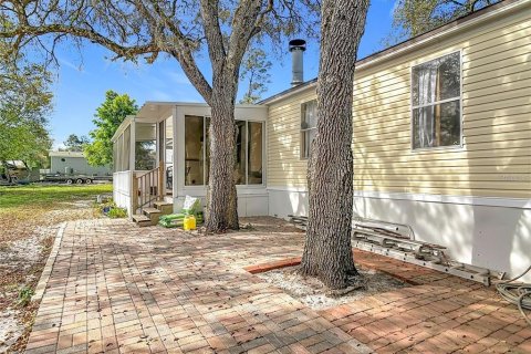 Appartement à louer à Paisley, Floride: 4 chambres, 221.11 m2 № 2422727 - photo 5