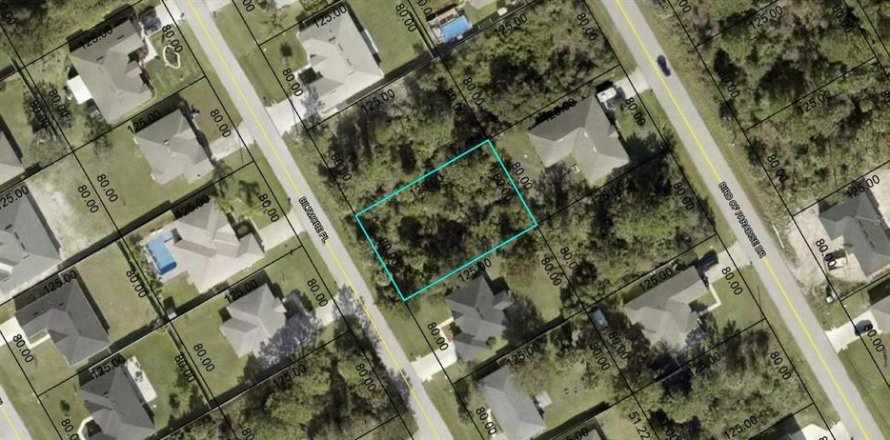 Terreno en Palm Coast, Florida № 1656875